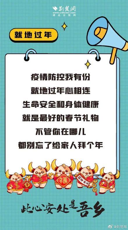 【防控措施调整今年春节如何返乡?/今年春节返乡管控措施】-第1张图片