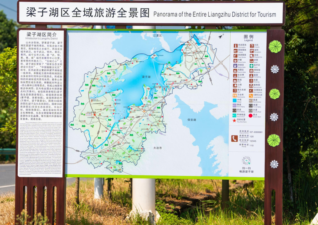 2023年高速免费日期〃2031年高速免费-第2张图片