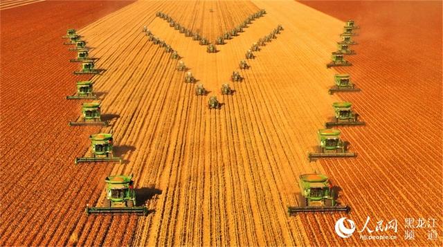 「黑龙江新增16例」〃黑龙江新增56+37例-第3张图片