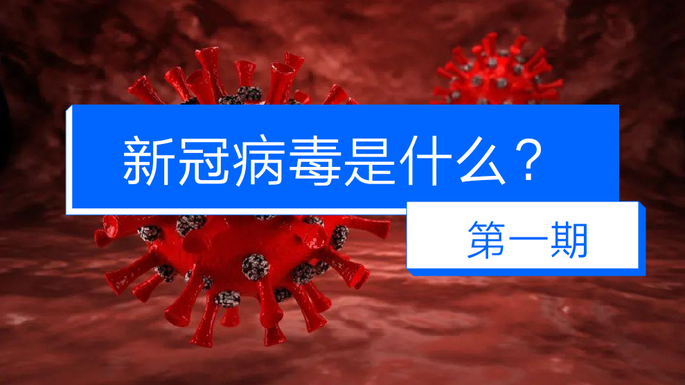 辽宁省朝阳市疫情最新消息︰(辽宁省朝阳市新型冠状肺炎最新消息)-第3张图片