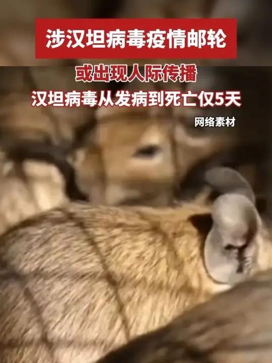 “专家:本轮全国疫情或在5月平复	” 截止到5月1日24时全国疫情？-第2张图片