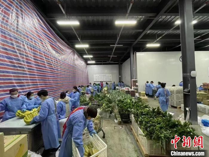 徐州睢宁县昨日疫情通报〃徐州睢宁新冠病例-第3张图片