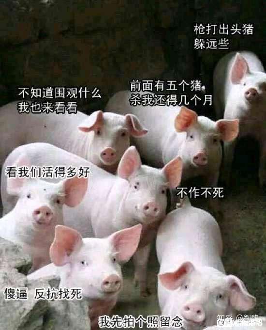 丹东最新疫情通报-丹东的最新疫情-第1张图片