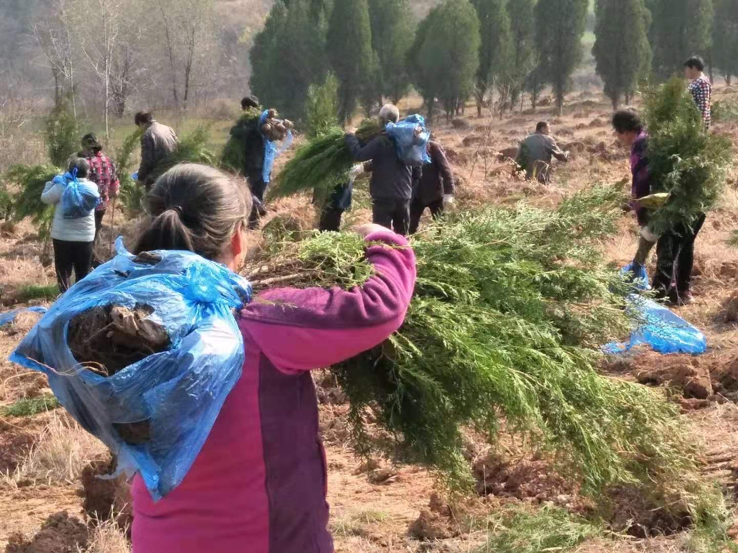 「西安临潼区发现一例初筛阳性」〃西安临潼确诊-第2张图片